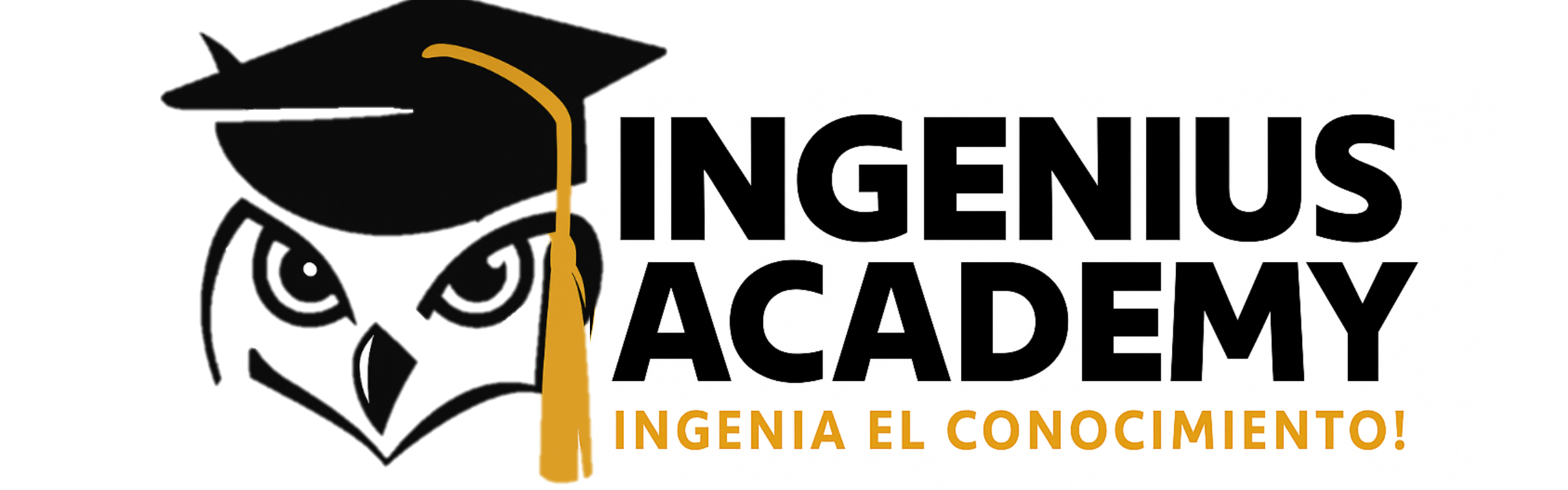 Logo Ingenius Academy